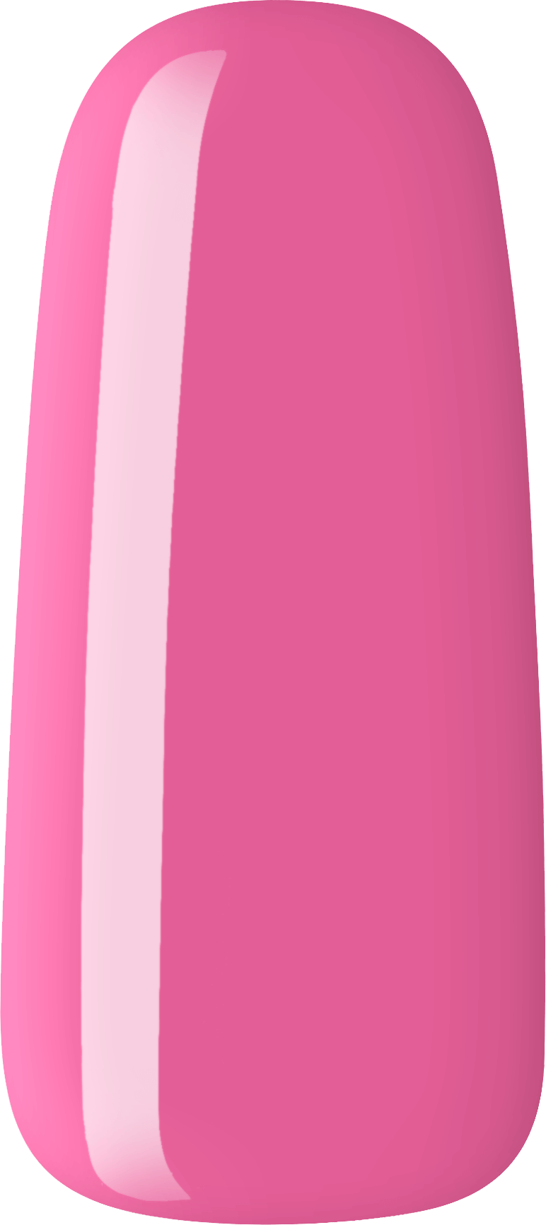Pink Latitude